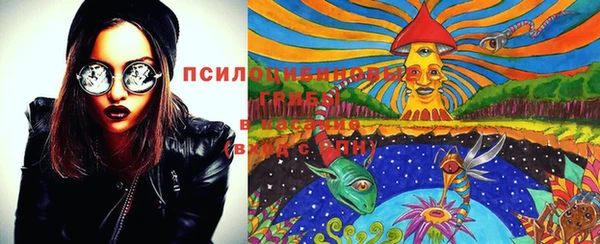 кокс Алексин