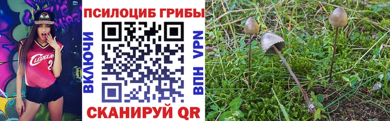 купить  сайты  Исилькуль  Галлюциногенные грибы GOLDEN TEACHER 